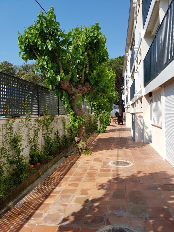 Apt Con Piscina En Calella De Palafrugell, Parking Gratuito Ngoại thất bức ảnh